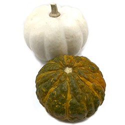calabazas medianas naturales